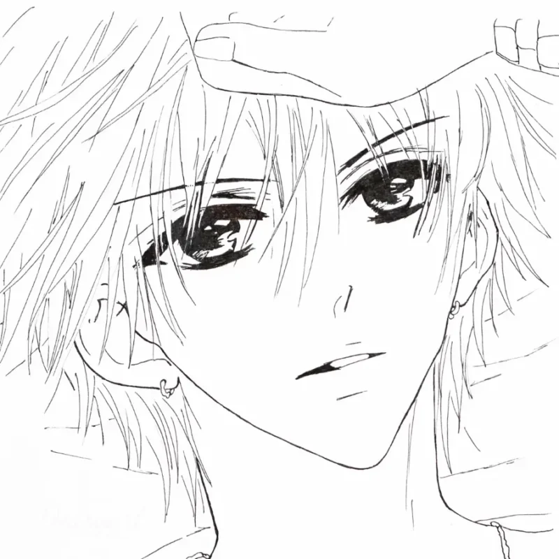 Daisyart-6